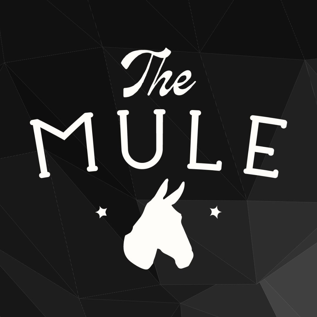 The mule 11 15 dungeons n drafts