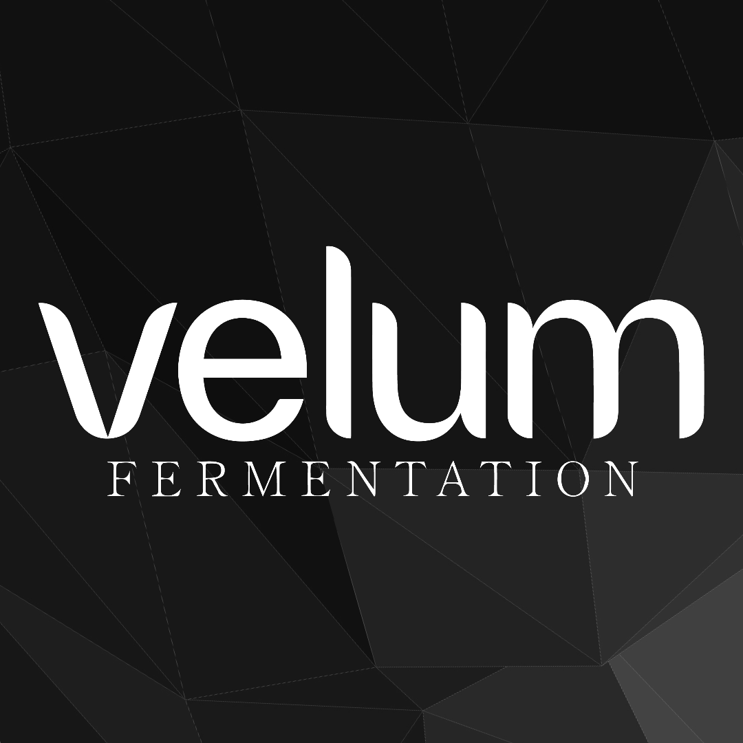 Velum Fermentation 4/10 | Dungeons n Drafts